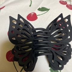 バレッタの画像