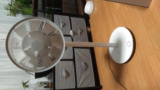 扇風機 BALMUDA  Greenfan 2+