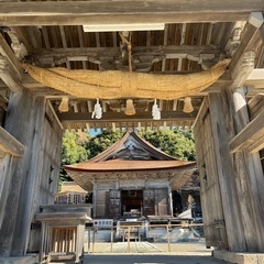 神社参拝ご一緒しませんか？
