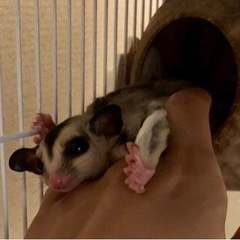 本当に沢山のご応募をいただき、ありがとうございました！