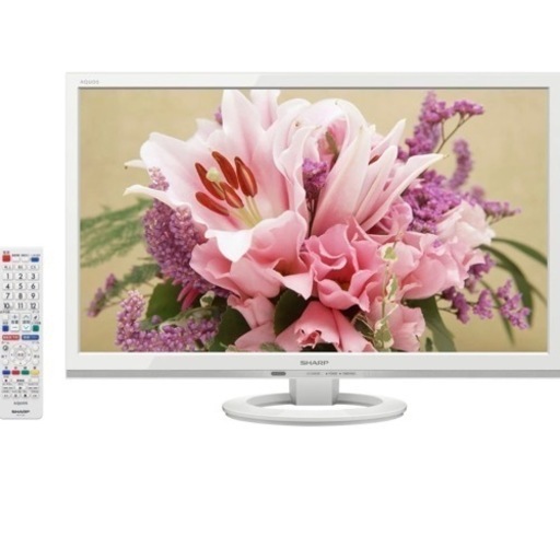 テレビ　24インチ　白