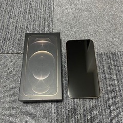 iPhone12pro max