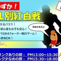 5/28レベル別紅白戦🏀（久喜）