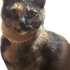 里親さん決定