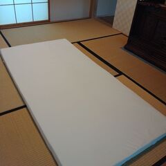トゥルースリーパープレミアリッチ