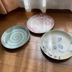 大きな和皿　3枚セット　たち吉　プラスお魚大皿