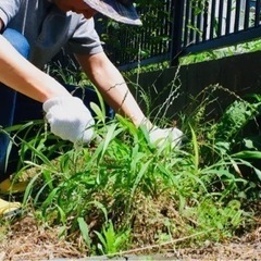 面倒くさい方必見！草刈り