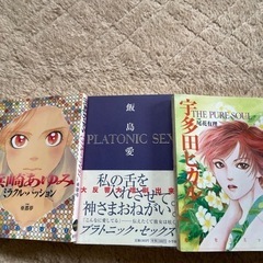 漫画本、小説本