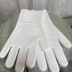 ブラシグローブ