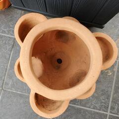 　ストロベリーポット