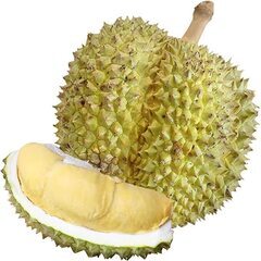ドリアンの試食会