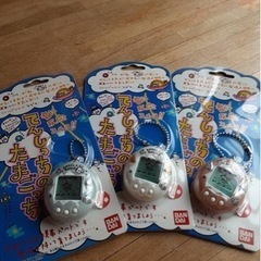 てんしっちのたまごっち　未開封