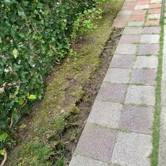 庭用　平板　レンガなど