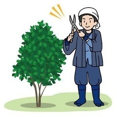 草刈り、伐採、剪定、蜂の巣駆除できる方募集