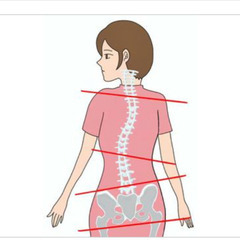 姿勢検定５級取得の画像