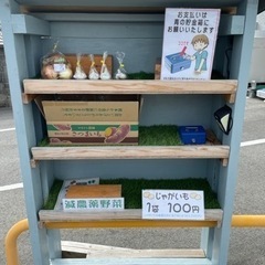玉ねぎ🧅にんにく🧄各100円　の画像