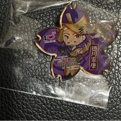 岡崎市限定　家康ピンバッジ