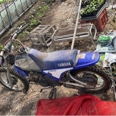 ヤマハ　PW80の画像