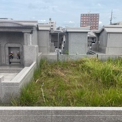 那覇市　お墓　新都心　真嘉比✨土地付きお墓✨