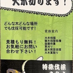 庭や樹木のことならお任せください！