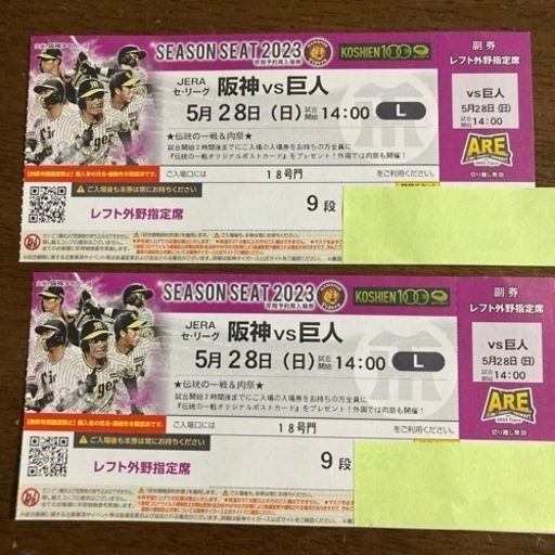 5月28日甲子園14時〜時阪神VS巨人　レフト外野指定席