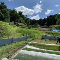 6月18日(日)田植え体験「京田辺市打田　新森圃場」 - イベント