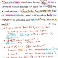 【英語】小中学生のためのオンラインレッスンの画像