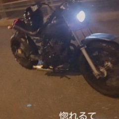 TW220の画像