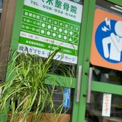 整骨院で楽しんで働ける柔道整復師の画像