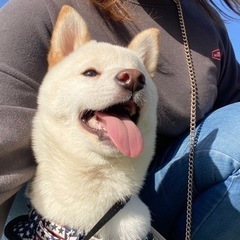 人が大好きで元気な女の子です🐕💗