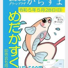 いよいよ明日2023.5.28めだかすくい