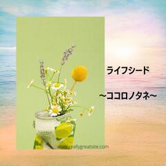 引き寄せコーチング