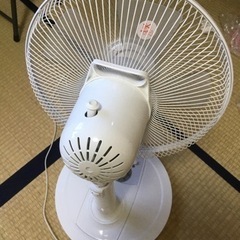 ファンの画像