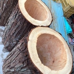 分蜂用丸胴にいかが？問い合わせ多い