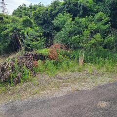 除草剤散布します