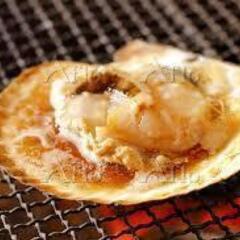 夜の河川敷で、焚火とともにほたて、あぶりませんか？【5月 …