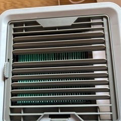 ここひえの画像