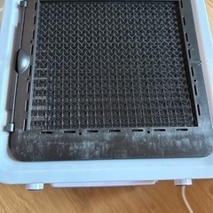 ここひえの画像