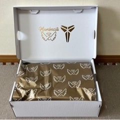 【NIKE】コービー4 Mambacita【コービーブライアント】