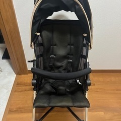 【美品】バギーfanロングプラスの画像