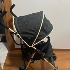 【美品】バギーfanロングプラスの画像