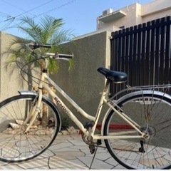 自転車　SCHWIN