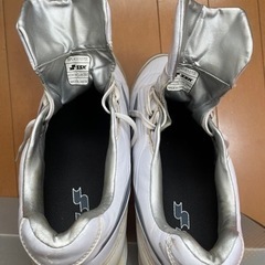 ソフトボール　スパイク　29.0cmの画像