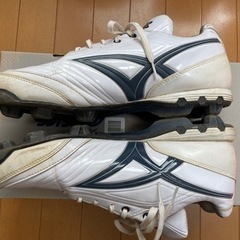 ソフトボール　スパイク　29.0cmの画像