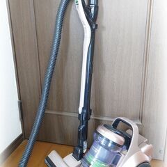 日立 サイクロン式クリーナー CV-SF300 2020年式