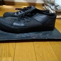 panaracer chrome sw 0621　スニーカー　中古品　28.0の画像