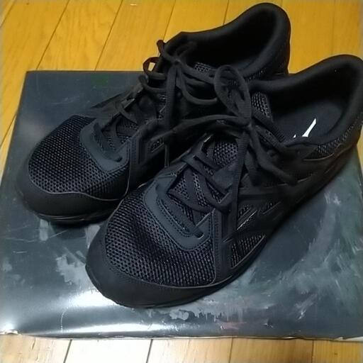 mizuno スポーツシューズ　flv 0822 　K1GA230209 30cm