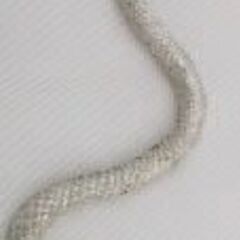 AzureGreen  King Cobra Snake キングコブラ スネークの画像