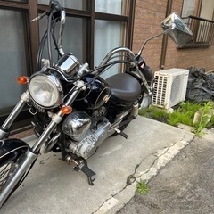 ビラーゴ250 3DM 