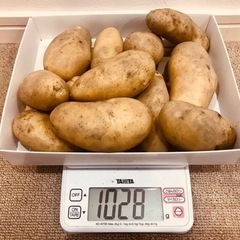 今年もありがとうございました🙇‍♀️また来年よろしくお願いいたし...